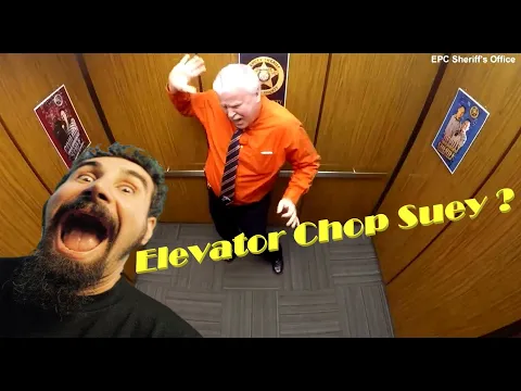 Download MP3 System of a Down - Chop Suey (Elevator Bossa Nova Edition)