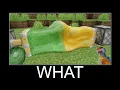 Minecraft realistic wait what meme Lava Water Slime