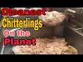 The CLEANEST CHITTERLINGS on the planet