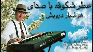 بازخوانی ترانه عطر شکوفه حمیرا باصدای هوشیاردرویش و نوازندگی قاسم خرمatre Shokoofeh Hushyar Darvish 