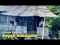 Lagu Kehidupan suku Dayak kanayatn dikampung yang jauh dari keramaian kota