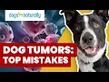 Download Lagu How To Tell If Your Dog's Lump Is Cancer