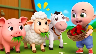 Animals Farm Song | Baby Feed The Farm Animals | Baby Cartoon and Kids Songs | Baby Bobo