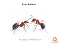 55 JUnit Ant
