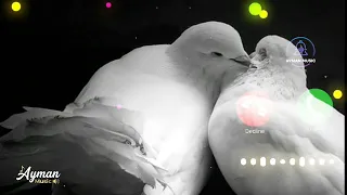 نغمة  بدونك هذي الحياة فراغ   نسخة الاشتياق والفراق                                   رنة هاتف   دندنها