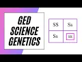 GED Science - Punnett Squares