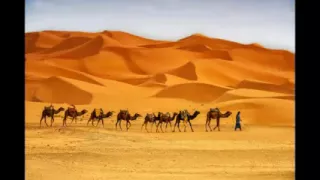 شعر شعبي ليبي قصيدة فرج ورانيا 