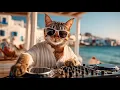 Lagu DJ MIAWW 🐾 Jazzy House Grooves 🌴 Beach Lounge \u0026 Chill Groove Mix in Mykonos 🇬🇷