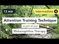 Attention Training Technique ATT in Metacognitive Therapy Intermediate 4