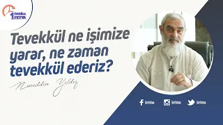 Tevekkül ne işimize yarar, ne zaman tevekkül ederiz?