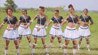 nelemi mbasandoo wivu official video 4k 