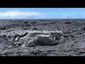 Primary Succession in Hawaii