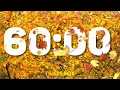 1 HOUR 60 Minute Autumn Fall Timer with Relaxing Music