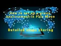 How to use ABCproxy to set up proxy environment in Pale Moon detailed process share