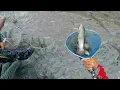 Download Lagu berebut ikan spesial bernilai jual tinggi