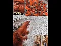 Download Lagu Godzilla In Hell (After Dark Edit) || #shorts #edit #godzilla