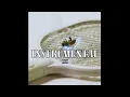 CHIP - PEST CONTROL (INSTRUMENTAL)