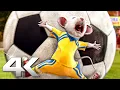 Download Lagu STUART LITTLE 2 Best Scenes 4K ᴴᴰ