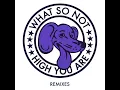 High You Are (The Only Remix)