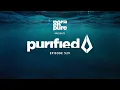 Purified Radio 529