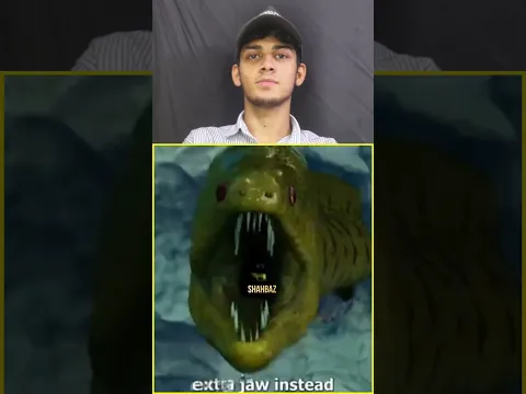 Allah Ki Kudrat π