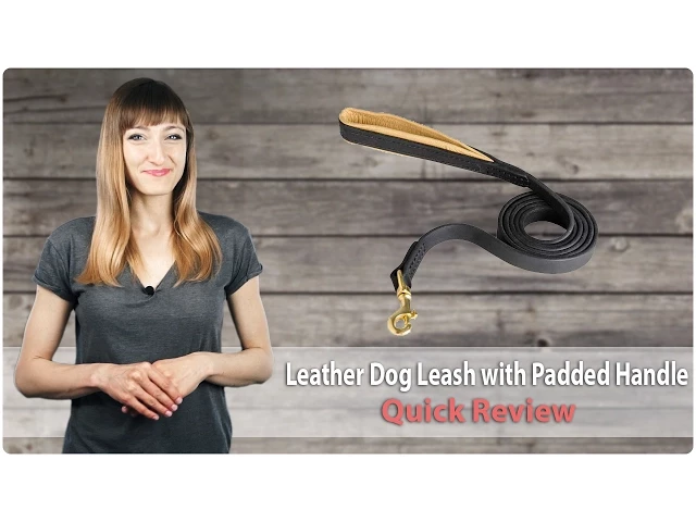 Handle Best Leather Leash Wellbro 15ft Long Braided Leather Dog