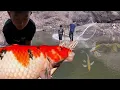 Download Lagu DAPAT IKAN MAHAL