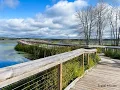 Arcadia Michigan Vacation 6 Best Things To Do Today