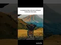 Download Lagu Peace came after the storm within!!