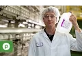 Publix Jobs What s it Like to Work for Publix Manufacturing