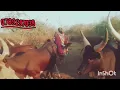 Download Lagu NZAGALILA UJUMBE WA NZIKU JAKWE 2025 MSAMBAZAJI SAWA MBASHA STUDIO 0789297039