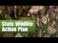 Saving the Monarch Butterfly Youth and Education