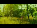 Plesiada - Mind Tuning