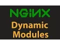 NGINX Dynamic Modules - How to Tutorial