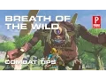 Zelda Breath of the Wild Combat Tips - Weapons Perfect Dodge and Sneakstrike