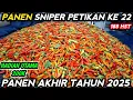 Lagu 🔴 PANEN CABE SNIPER PETIKAN KE 22 ‼️ SIAPAKAH PEMENANG KUIS SEASON 10 HADIAH 200K ?