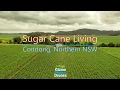 Sugar Cane Living in Condong by Drone - Northern NSW