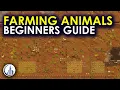 Taming Animals For Your Colony RimWorld Ultimate Beginners Guide