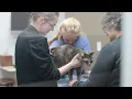 What It Means to be Part of the VCA Care Network