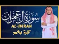 Download Lagu تلاوة جديدة رائعة سورة آل عمران بصوت القارئ علاء عقل Surah al-imran by Alaa aqel