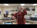 Period of a Pendulum Virtual Lab