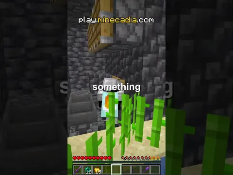 I Stole The Lost Ender Dragon Head
