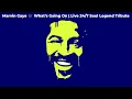 Download Lagu Marvin Gaye 🎶 What’s Going On | Live 24/7 Soul Legend Stream