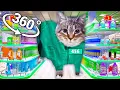 Download Lagu U II A IO UI A I O x Mingle Game Song - Supermarket in 360° Video | VR / 8K | ( OIIAOIIA CAT meme )