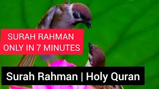  iqraalqurankarim yasin surahyasin surahyasin only n 7 minutes in 20 seconds fast and full