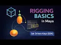 Rigging Basics in Maya - Set Driven Keys SDK for Squash Stretch