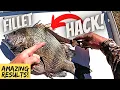 ULTIMATE SHEEPSHEAD CLEANING HACK Stop doing it wrong