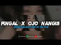 Download Lagu DJ PINGAL X OJO NANGIS || YANG KALIAN CARII