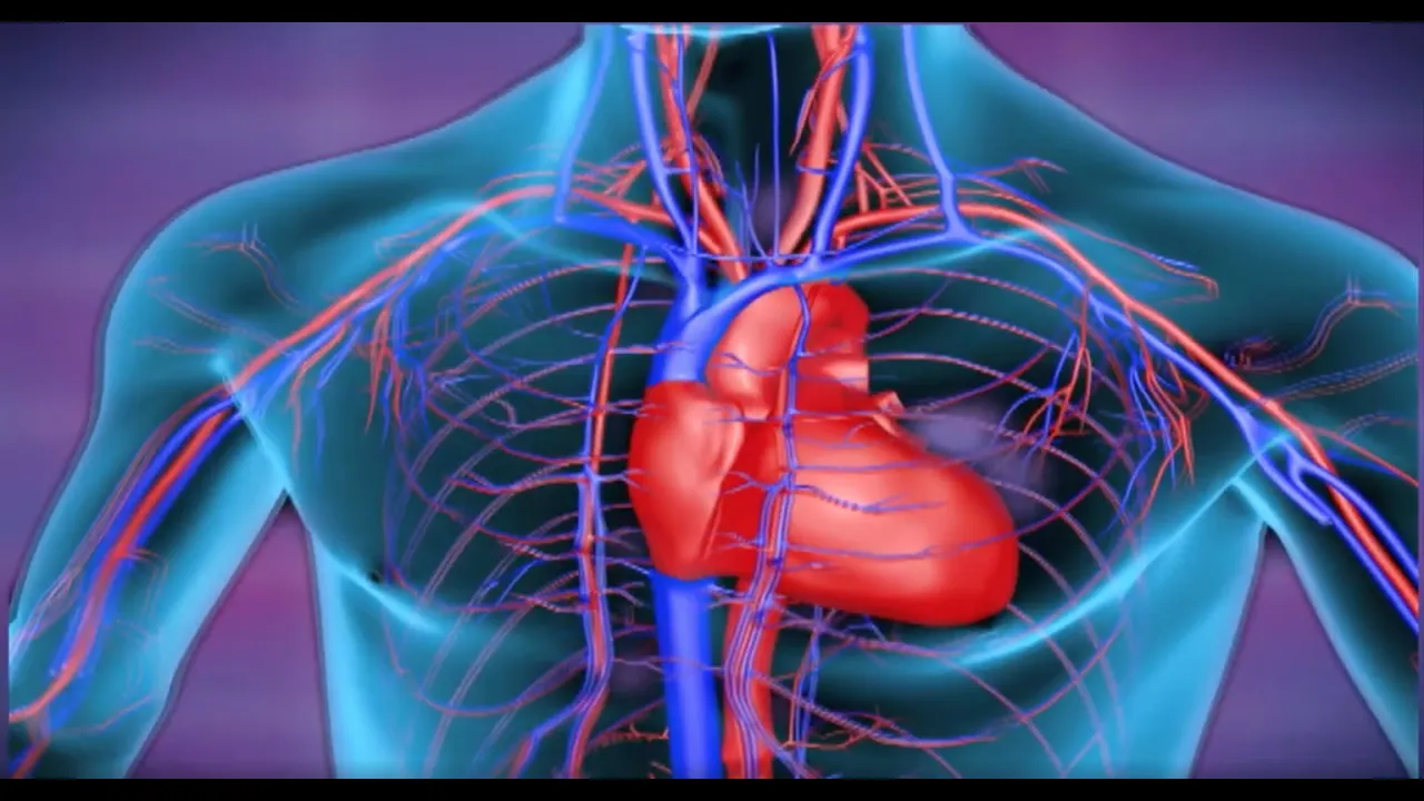 1 Herz Kreislauf Erkrankung - Einführung