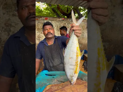 Kasimedu speed selvam queen trevally fish #kasimeduselvam #shorts #bigfish #fishcuttingworld